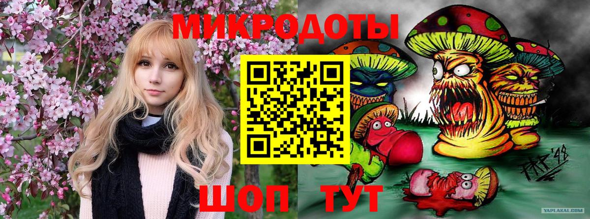 Псилоцибиновые грибы ЛСД Кизляр