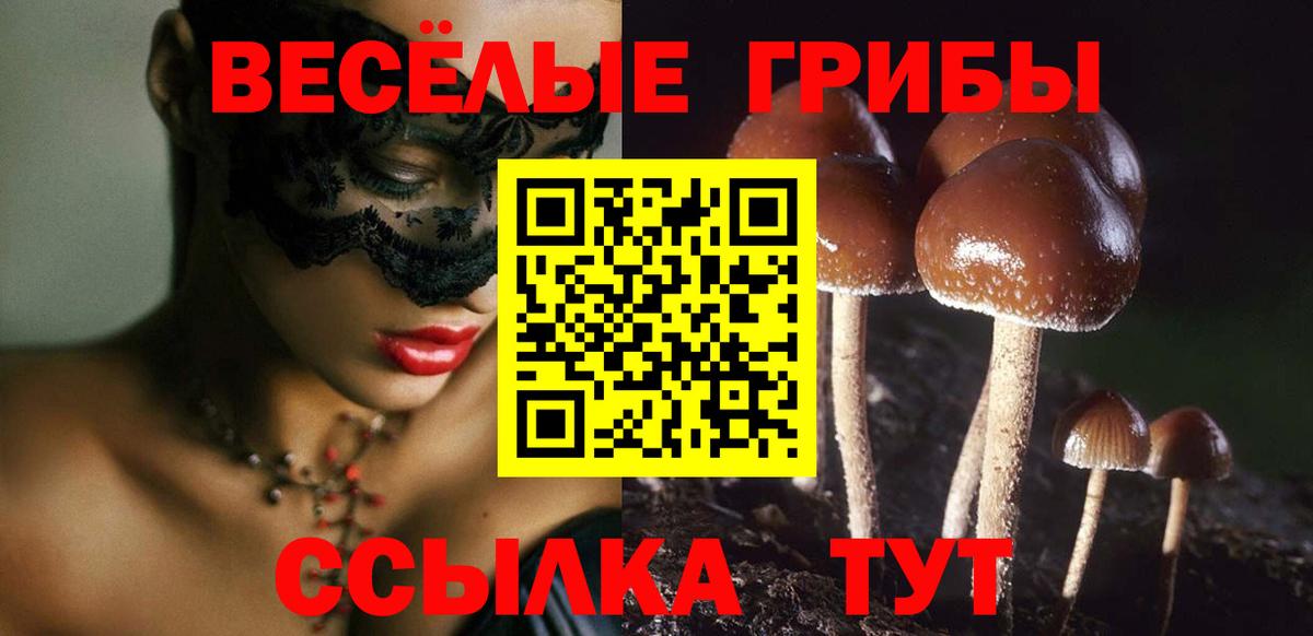 Кизляр  Псилоцибиновые грибы прущие грибы  Псилоцибиновые грибы ЛСД  Вход с VPN 