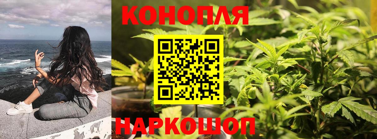 Каннабис Amnesia  Канабис MAZAR  Бошки марихуана план  Вход с VPN  Кизляр 